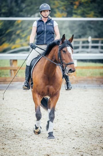 Michelle riding her bay horse in an outdoor arena in Sussex
